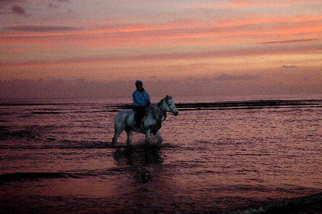 min 2007 11 25 camber plage 070